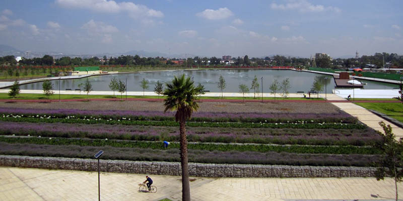 Bella lago en el parque