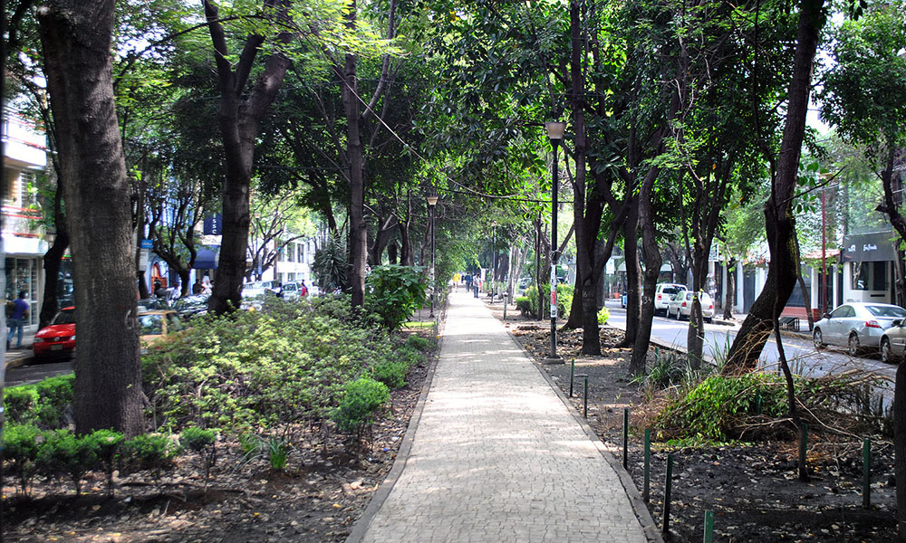 restaurantes-en-la-condesa