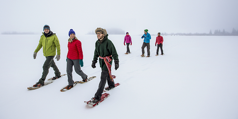 Snowshoe Edmonton