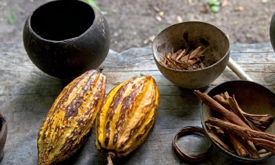Inicia el Festival del Chocolate en Tabasco