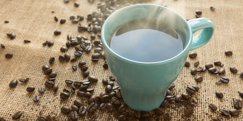 Gastronomía de Xalapa