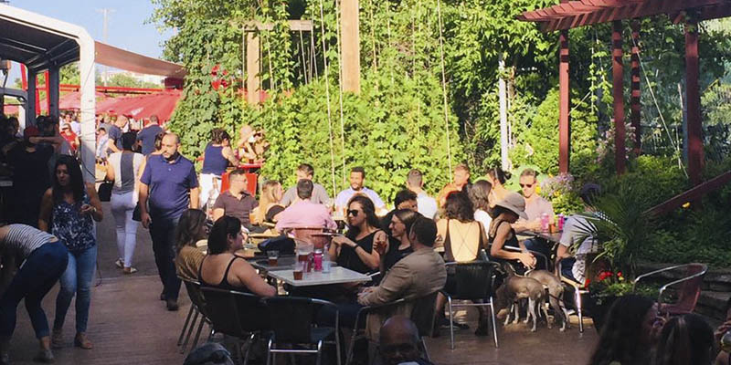 Pet friendly en Montreal mascotas en Montreal