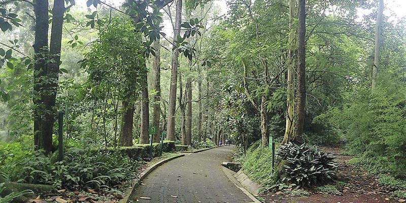 Que visitar en Xalapa Veracruz