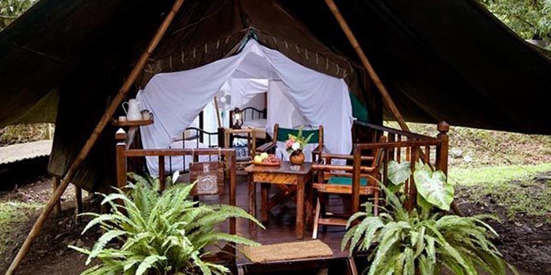 Glamping Xalapa