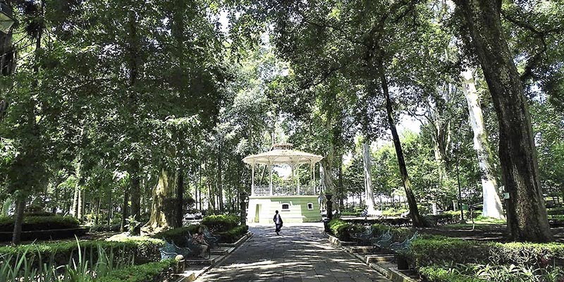 Parque los Berros