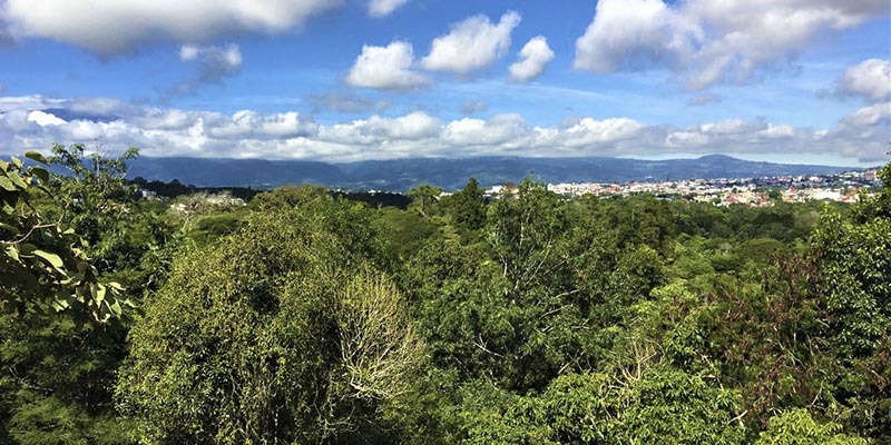 Parque Natural Xalapa