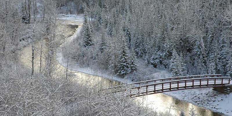 Calgary en invierno