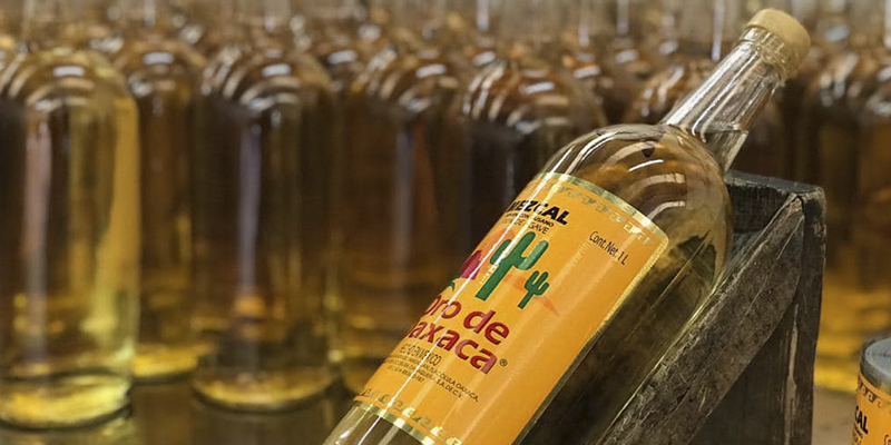 mejor mezcal méxico