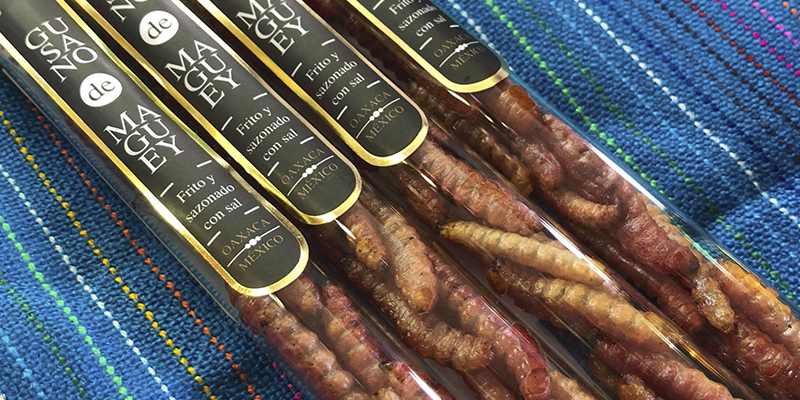 Casa Mezcal Oro de Oaxaca