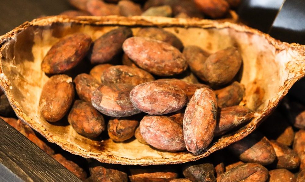 Cacao