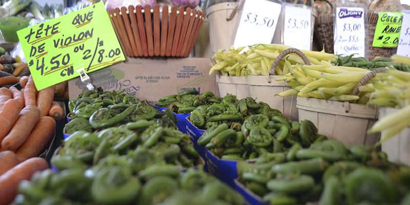 mercados de Montreal