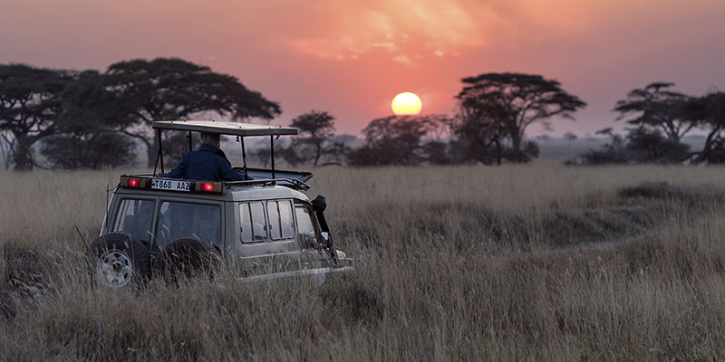 mejores safaris África