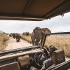 mejores safaris África