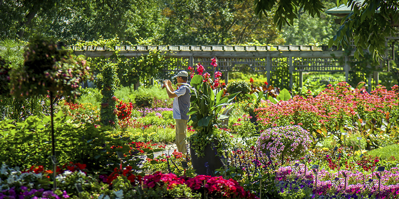 Jardín Botánico Montreal