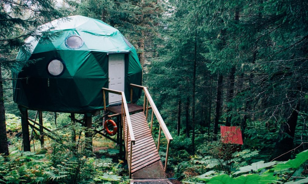 Airbnb en el bosque