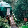 Airbnb en el bosque