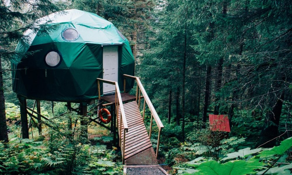 Airbnb en el bosque