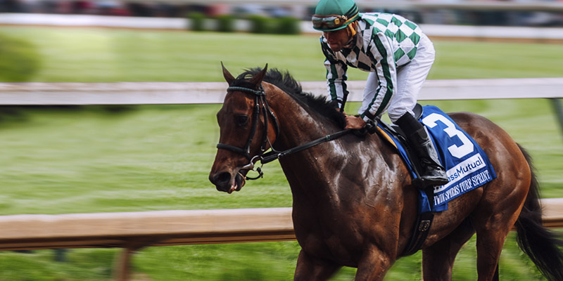 experiencias deportivas en estados unidos