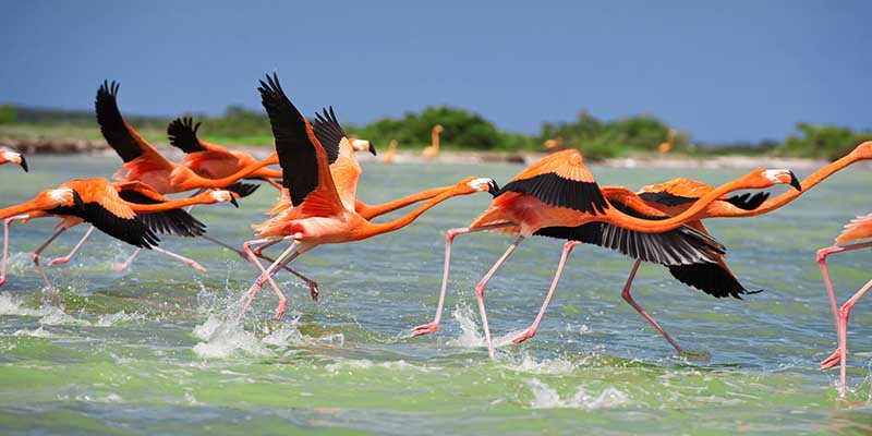 qué hacer en Yucatán