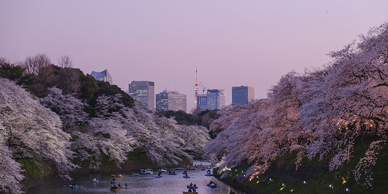 consejos para viajar a Tokio