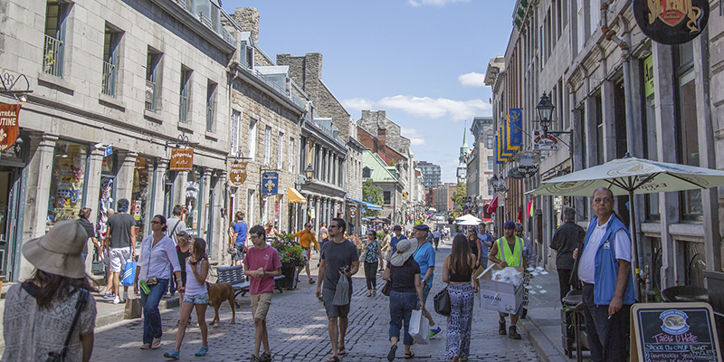 Qué hacer en Montreal: guía virtual