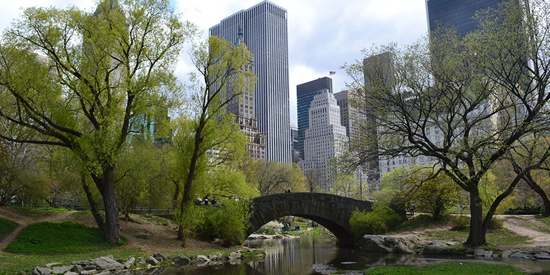 Qué hacer en Nueva York: Guía virtual