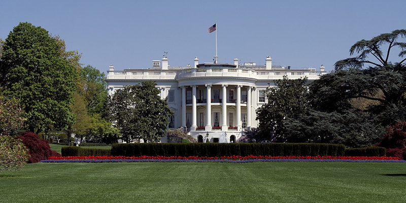 Qué hacer en Washington: Guía virtual Qué hacer en Washington: Guía virtual