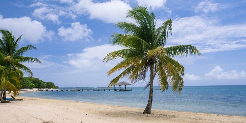Quintana Roo se desploma por coronavirus