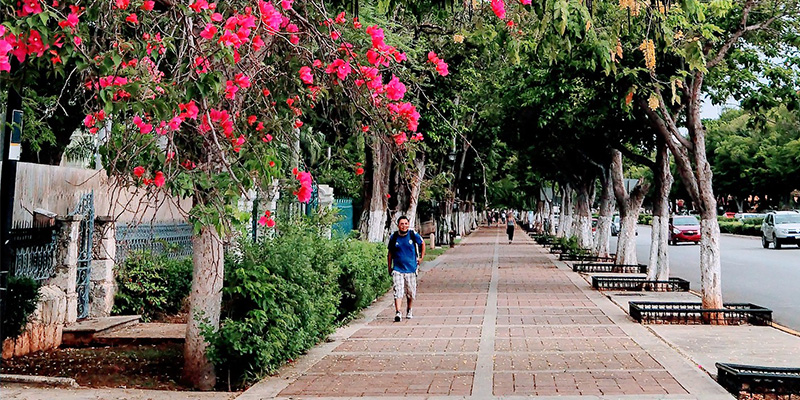 Qué hacer en Mérida: guía virtual