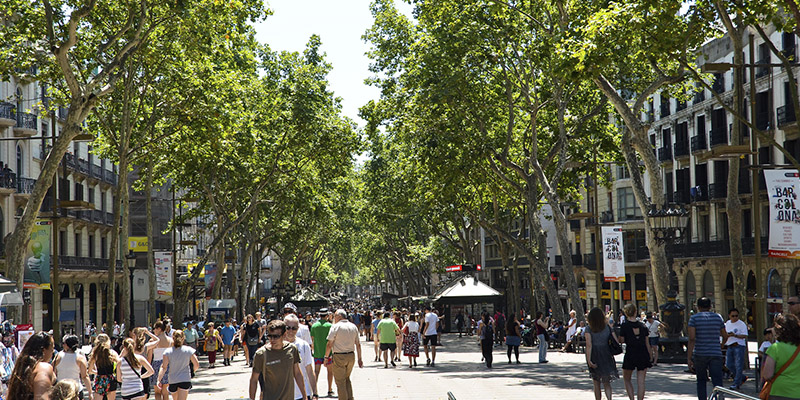 Qué hacer en Barcelona: Guía virtual