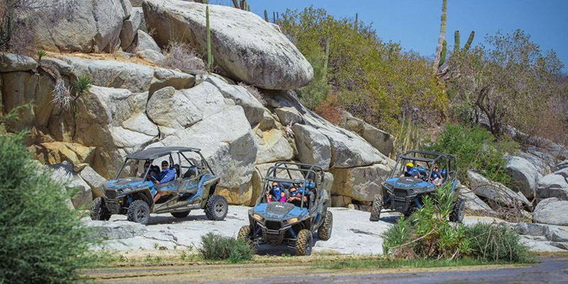 Qué ver y qué hacer en Los Cabos