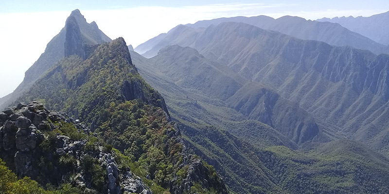 Qué hacer y ver en Monterrey