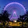 Qué hacer en Orlando: guía virtual