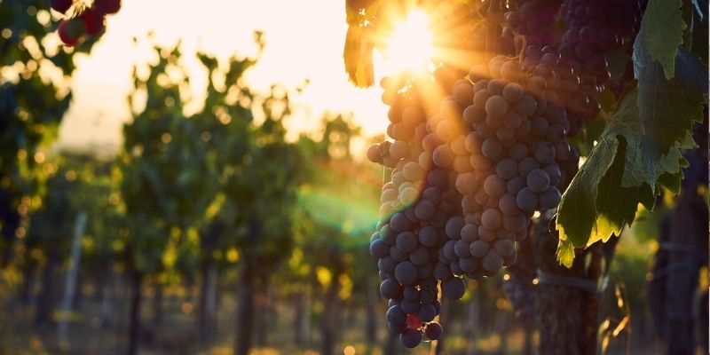 rutas gastronómicas de España