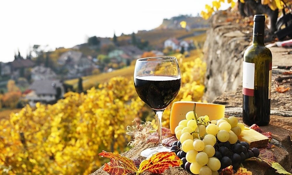 rutas gastronómicas de España