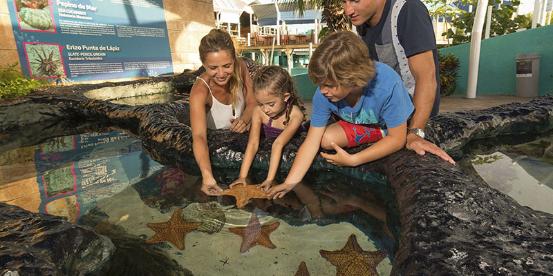 Qué hacer con niños en Cancún