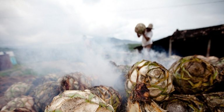 Cuánto cuesta hacer la ruta del mezcal en Oaxaca