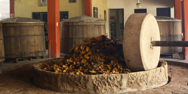 Cuánto cuesta hacer la ruta del mezcal en Oaxaca