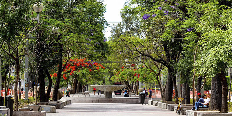 Qué ver y qué hacer en Guadalajara