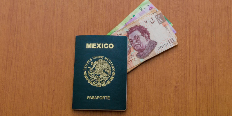 como-sacar-pasaporte-niños-mexico(6)