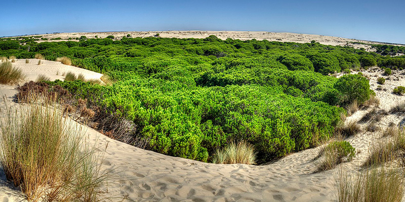 Naturaleza en España