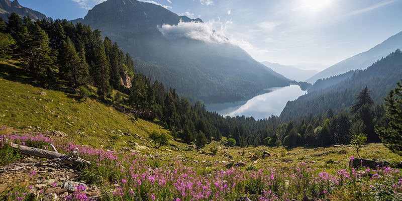 Naturaleza en España