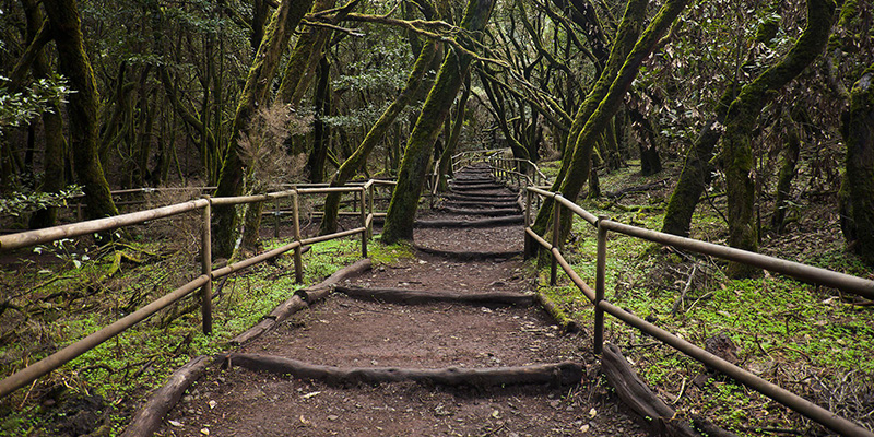 Naturaleza en España