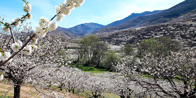 Naturaleza en España