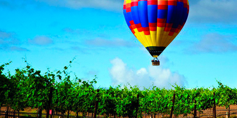 Ruta del vino Ribera del Duero