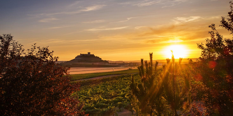 Ruta del vino Ribera del Duero