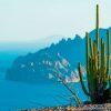 ¿Es seguro viajar a Baja California Sur?