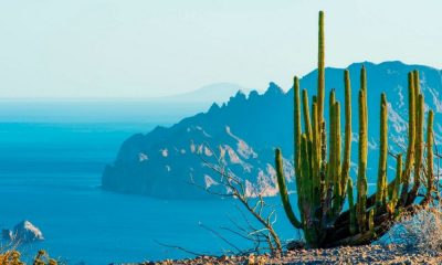 ¿Es seguro viajar a Baja California Sur?