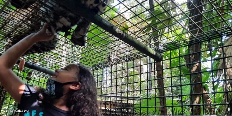 que hacer con niños en belice ¿Qué hacer con niños en Belice?