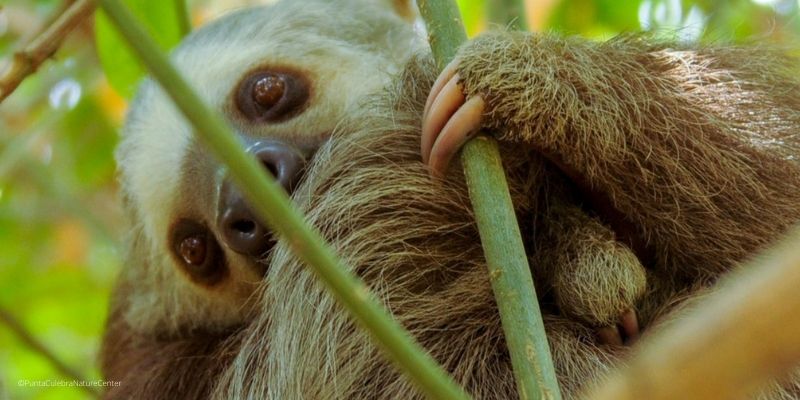 ¿Qué hacer en Ciudad de Panamá con niños?